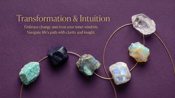 Transformation & Intuition